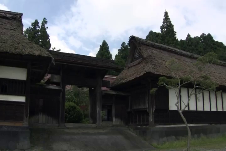 動画画像