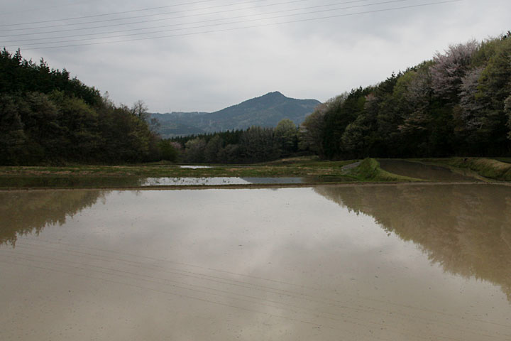 中央に権現山が見える