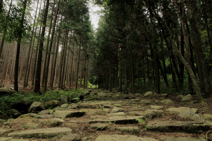 八瀬沢の一里塚へ