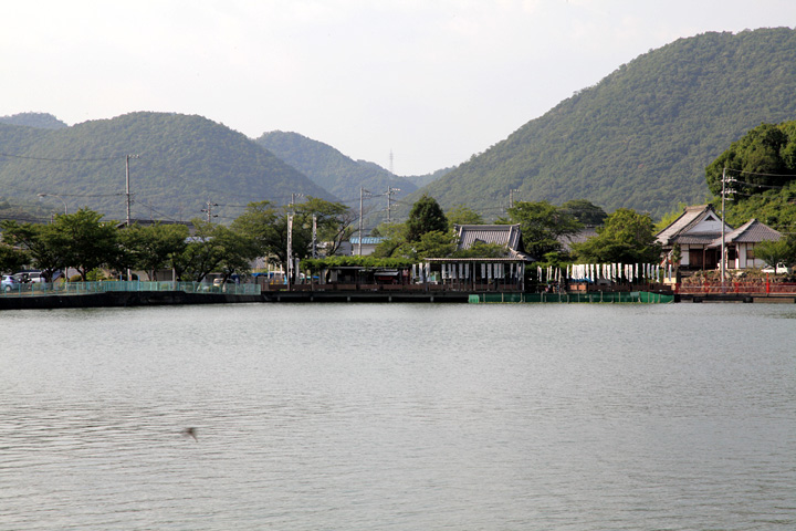 八大白龍神社とおがせ池