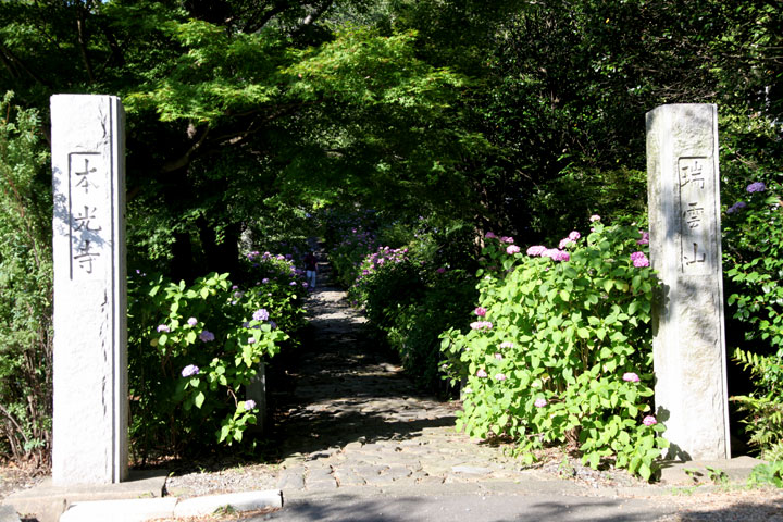 本光寺山門