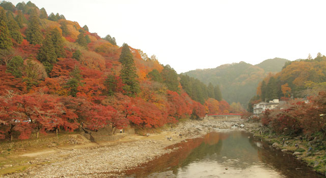 中馬街道と香嵐渓の紅葉 