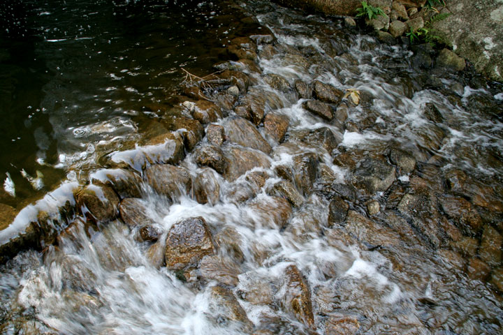 龍門の瀧から流れた水