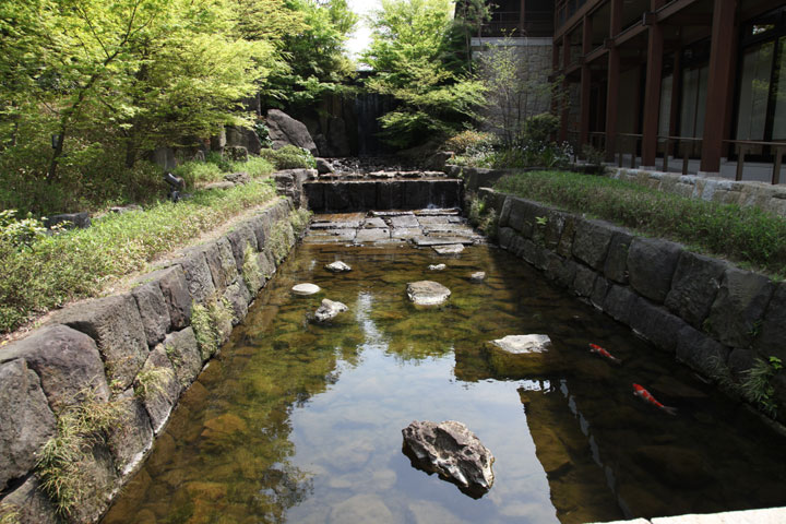 龍仙湖へ注ぐ