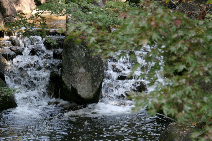 大曽根の瀧から流れた水