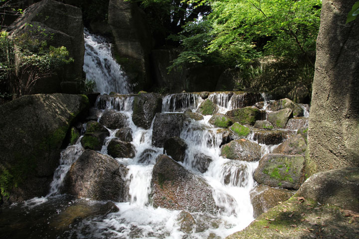 大曽根の瀧から流れた水