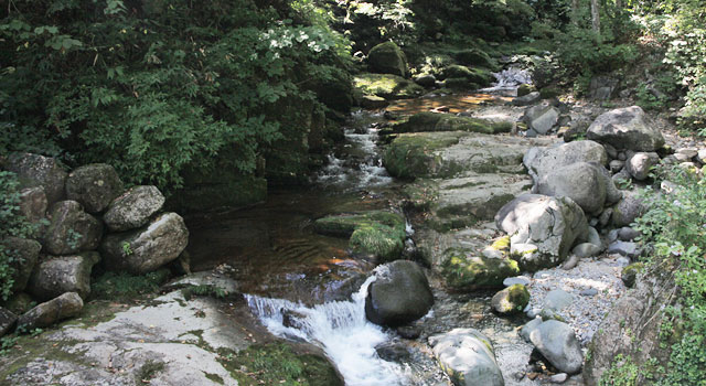 長良川源流　大日ヶ岳