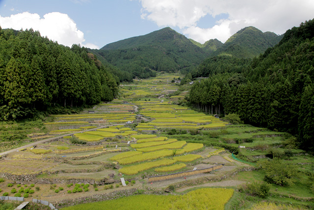 四谷 千枚田(新城市)