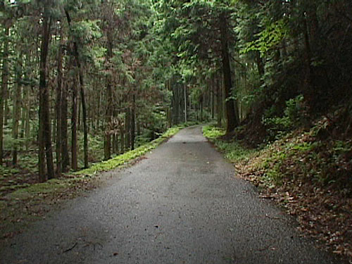 片山神社へ