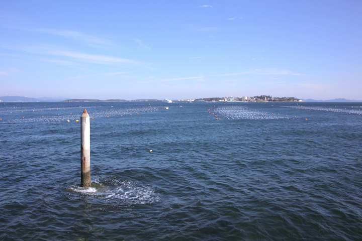 鉛筆状の杭の下を日間賀島の方向に通水されている愛知用水支流