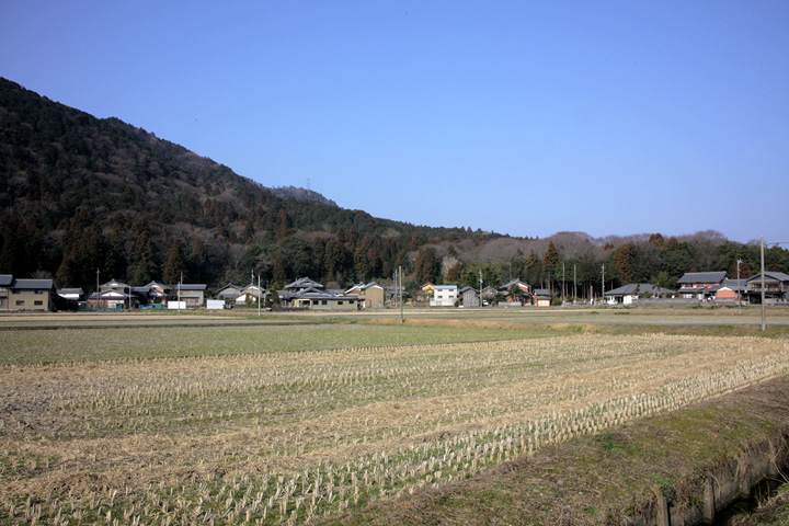 養老町桜井