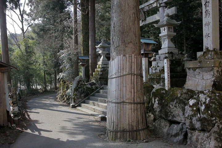 白鳥神社とみゆき街道(養老町桜井)