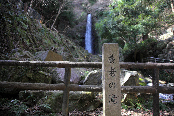 養老の滝