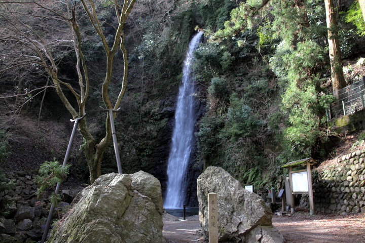 養老の滝