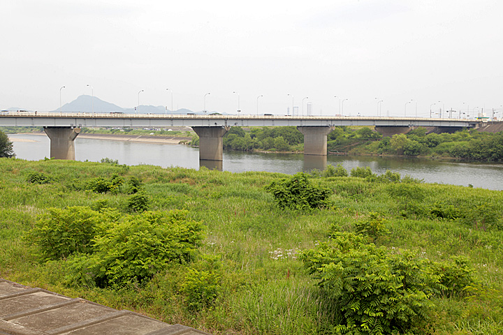 河渡の渡し(長良川)