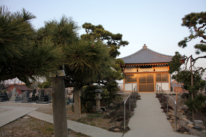 正法寺臥龍の松