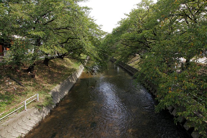 五条川