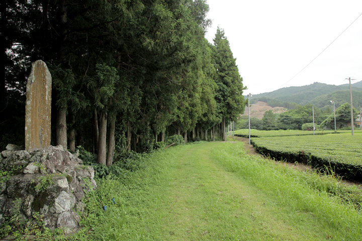 鳥居強右衛門磔の碑と鳶ヶ巣山砦跡