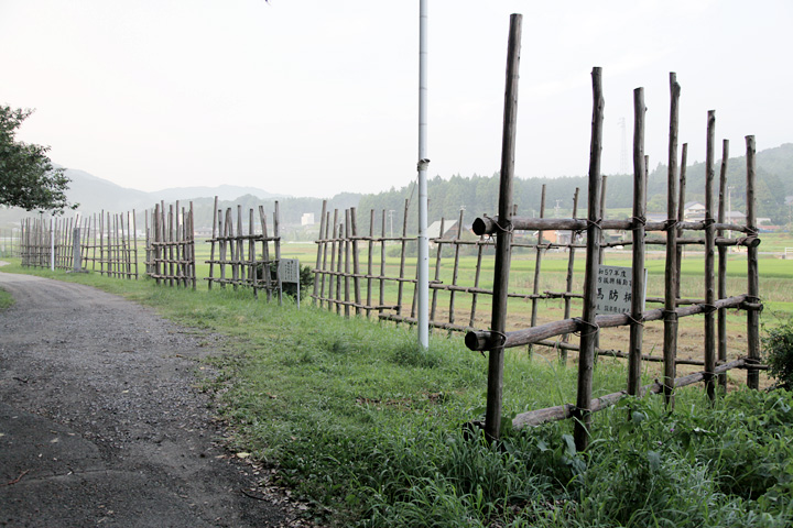 馬柵(織田軍)