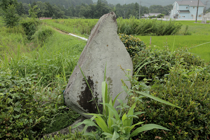 山本勘蔵信供の墓