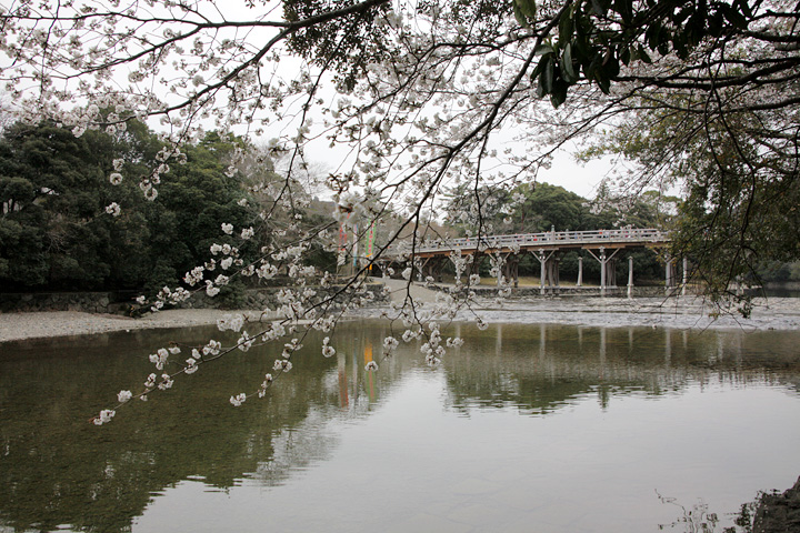 五十鈴川宇治橋