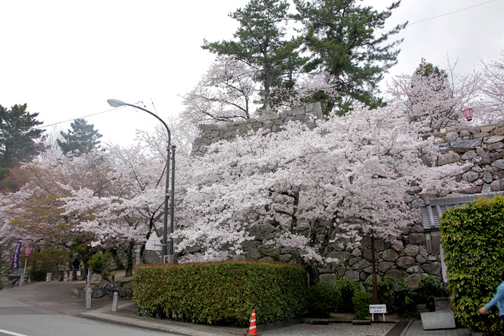 松坂城跡(松阪市)