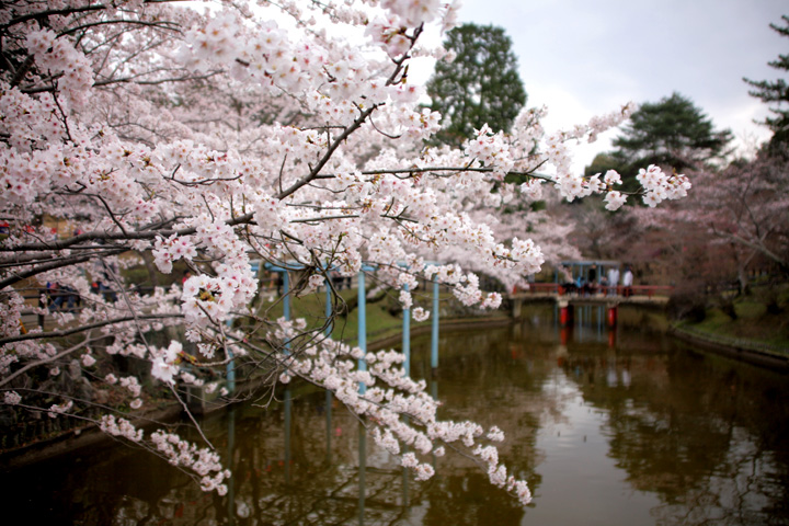 偕楽公園(津市)