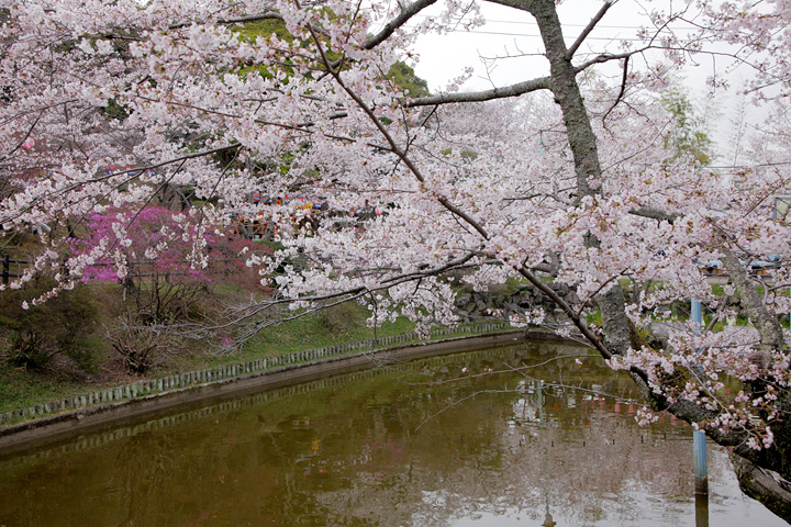 偕楽公園(津市)