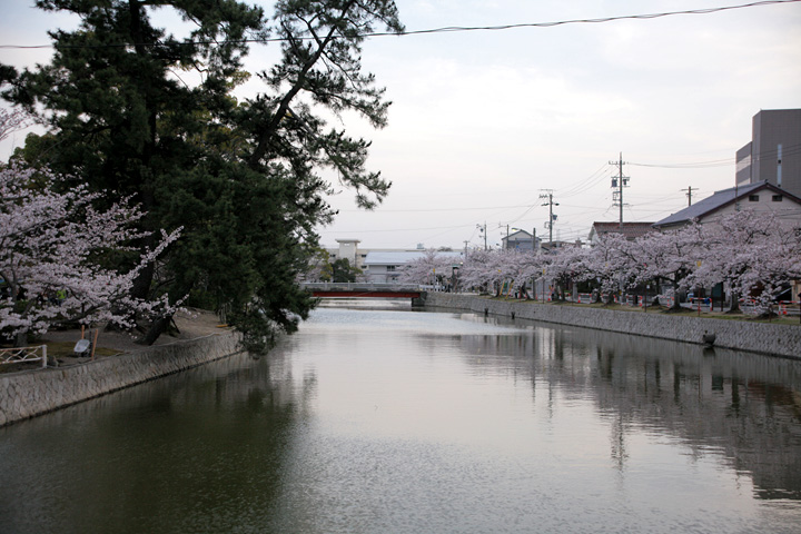 九華公園(桑名市)