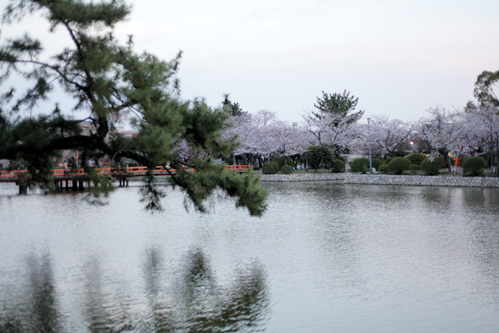 九華公園(桑名市)