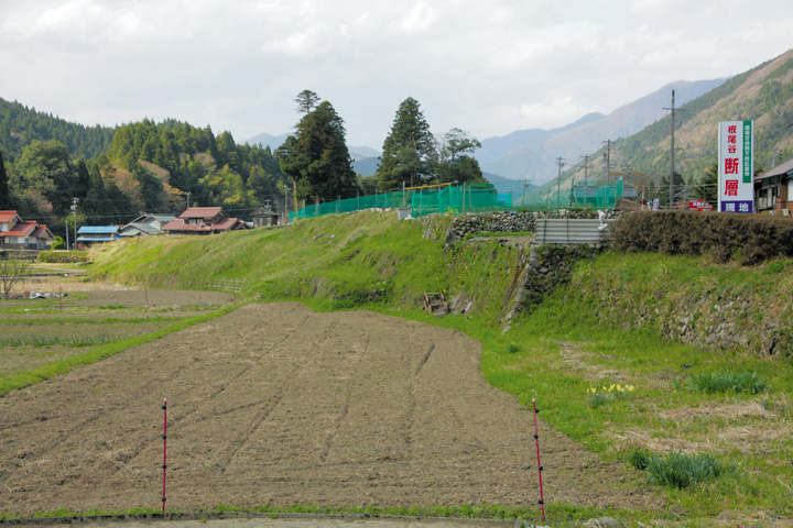 濃尾地震の震源地　根尾谷断層