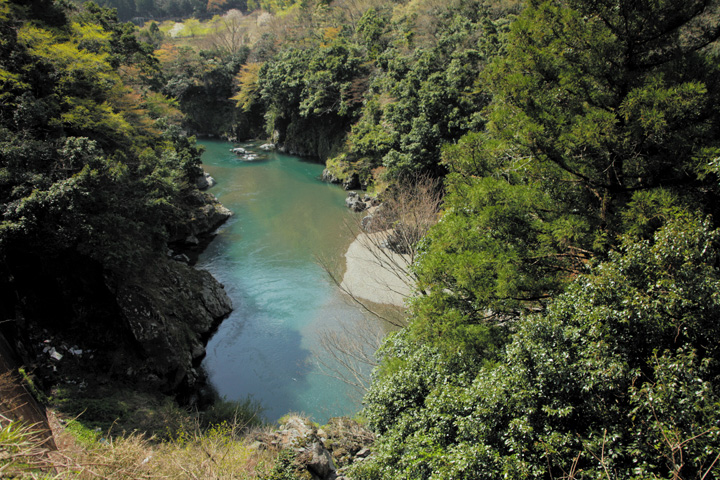 根尾川(日当駅手前)