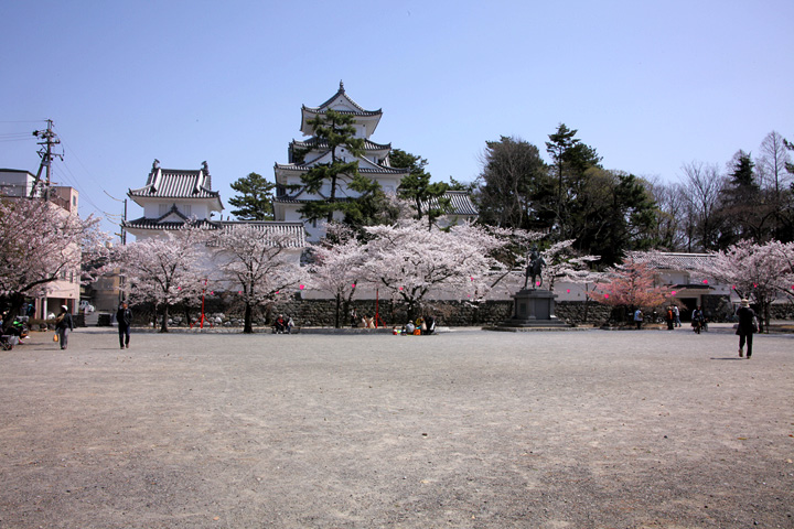 水門川と桜