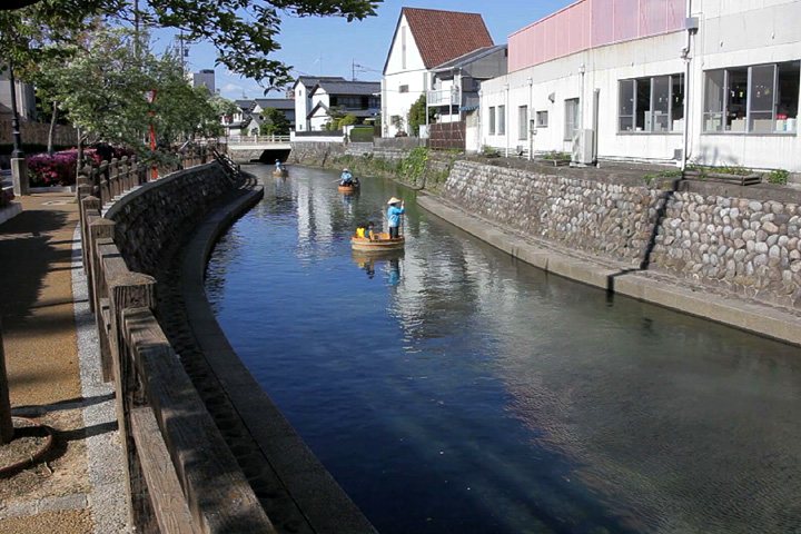 4月末から5月上旬に行われる