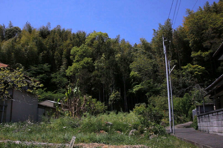 伊勢上野城址