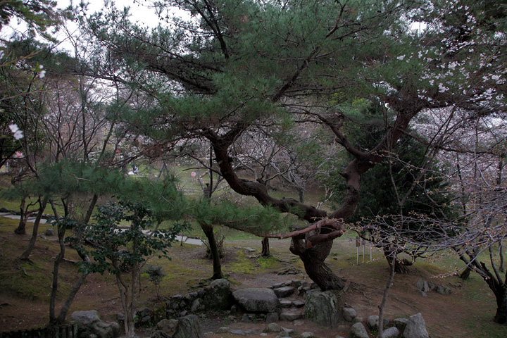 津偕楽公園