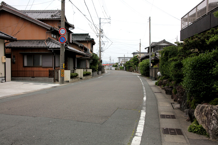 稲木を行く街道