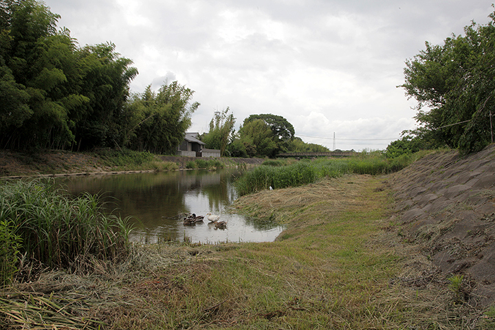 柘植川(西柘植) 柘植川は木津川主支流のひとつ服部川最大の支流