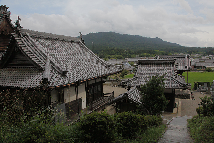 本能寺の変後の家康伊賀越えを住職が助けたと伝えられる