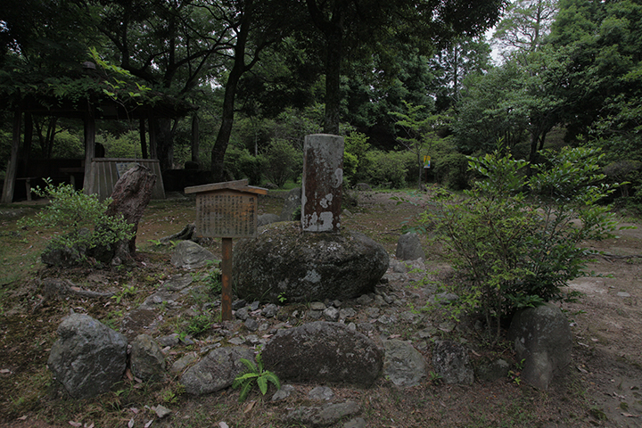 松尾芭蕉の祖福地氏の城跡に芭蕉公園が造られた