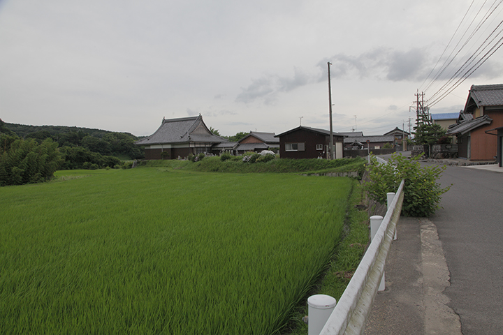 玉林寺と大和街道