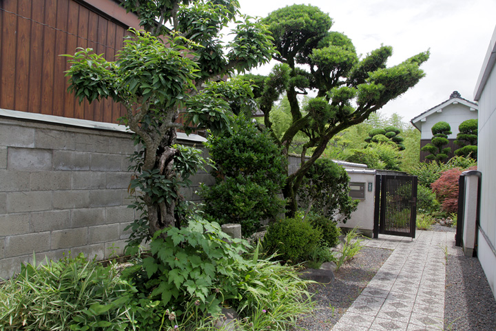 問屋場の庭園の一部