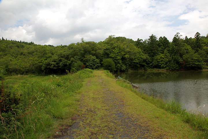 池のほとりにある祠と鳥居へ向かう