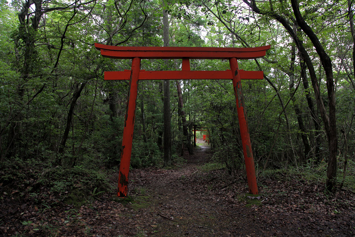 池のほとりにある鳥居